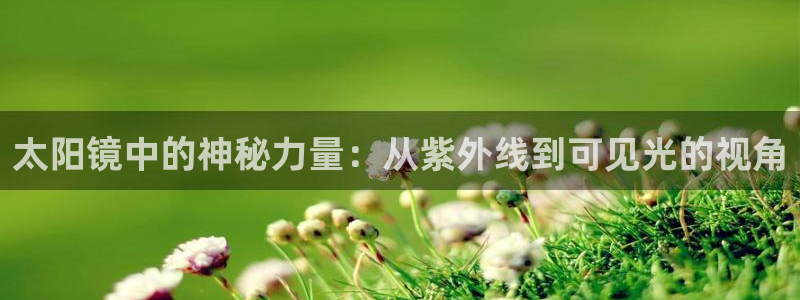 新宝5现在还能玩吗