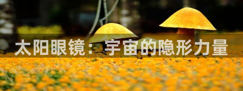 新宝5的网址