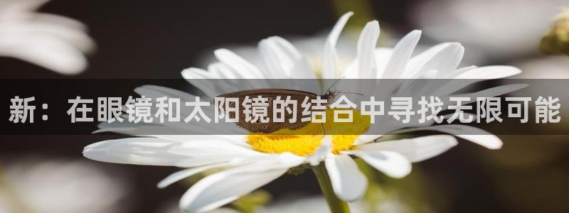新宝6霸哥5