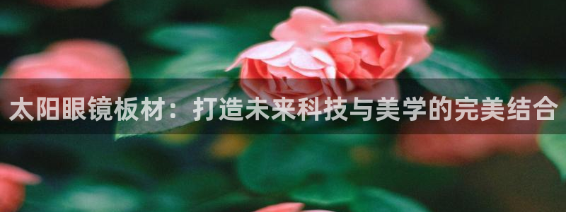 新宝5彩票娱乐平台