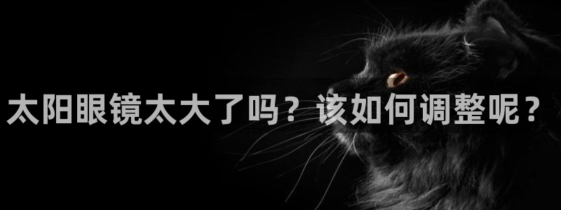 新宝5官网app