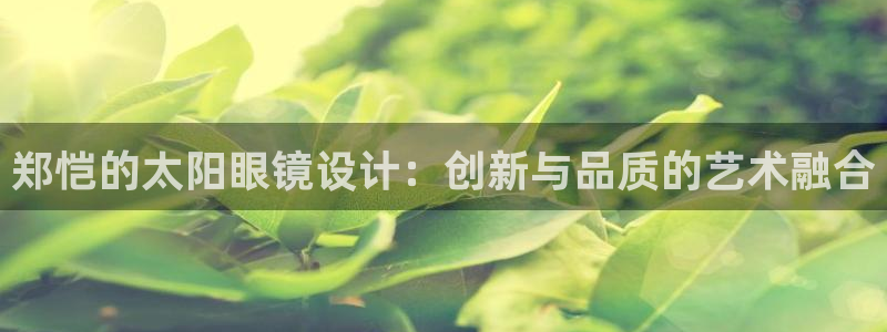 新宝5招商
