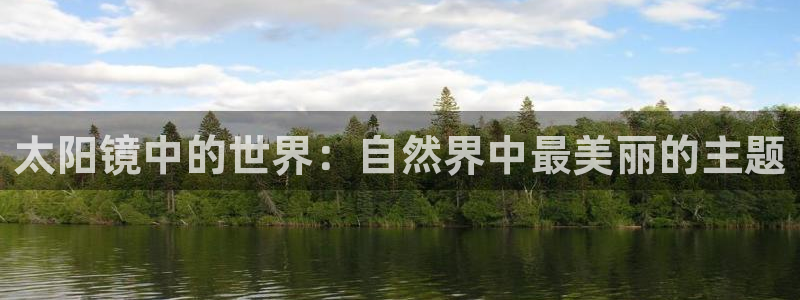 新宝5手机登陆