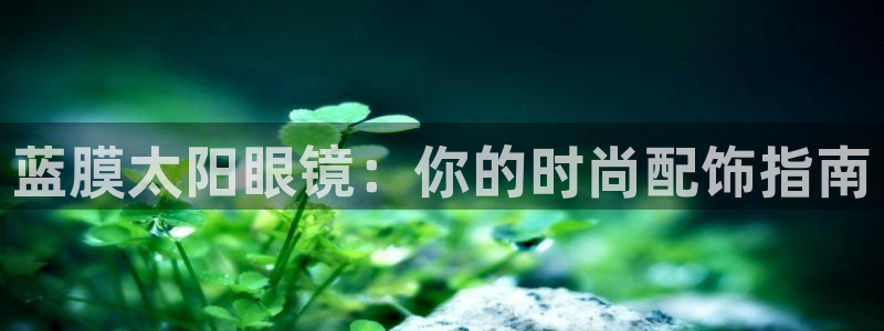 有人知道新宝5么