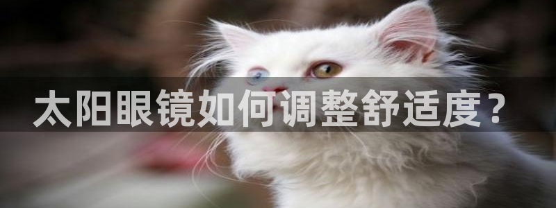 新宝5下载网址