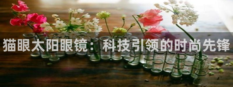 新宝6霸哥5
