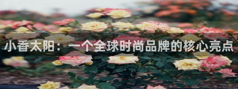 新宝5官网平台