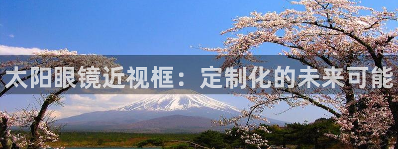 新宝5招商部