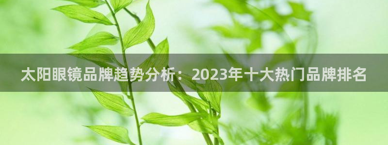 新宝股东瞧听2 5 5