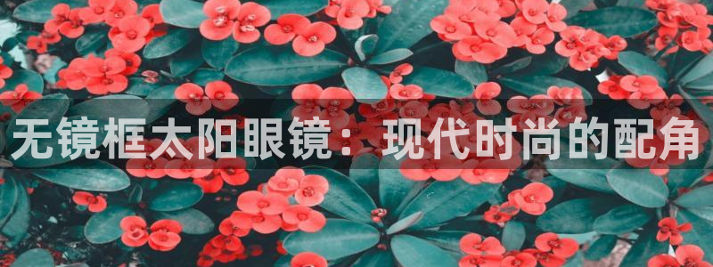 新宝5娱乐都
