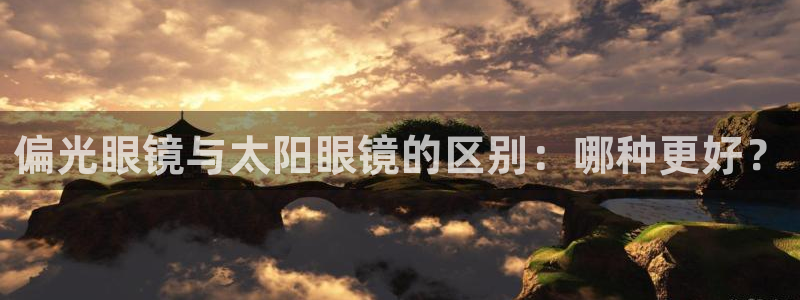 新宝股东张听2 5 5