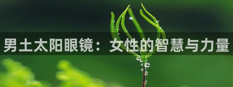 新宝5怎么代理