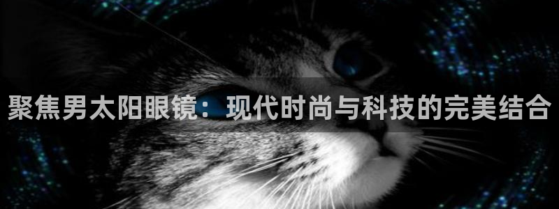 新宝堂新会陈皮5年