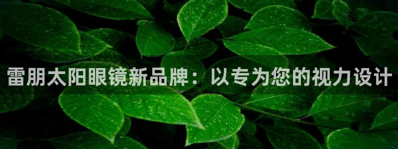 新宝5内部