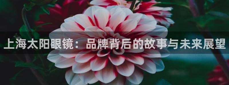 新宝b2O5O5O
