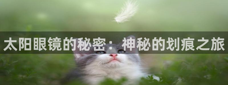 新宝股东张听2 5 5