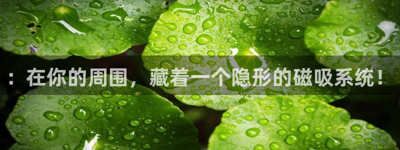 新宝5测速在线