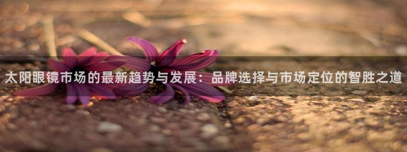 新宝5娱乐学