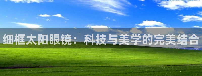 新宝5黑