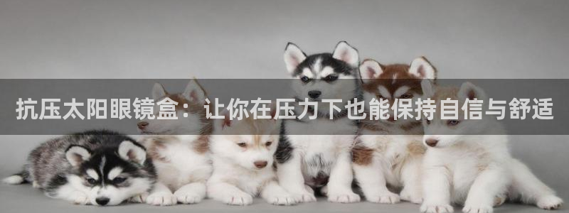新宝5官网