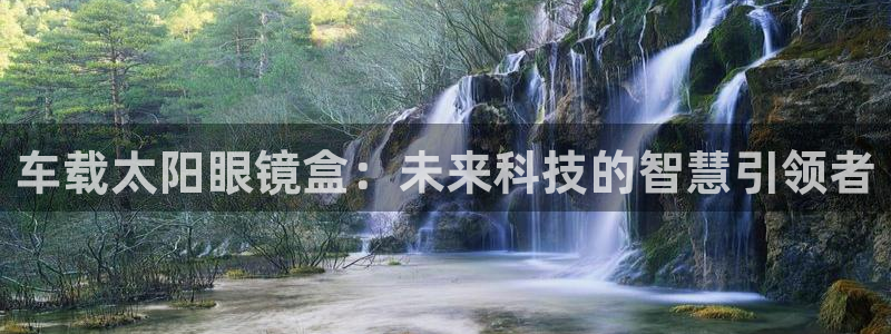 新宝5是谁