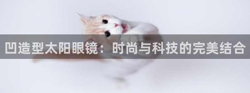 新宝5娱乐学