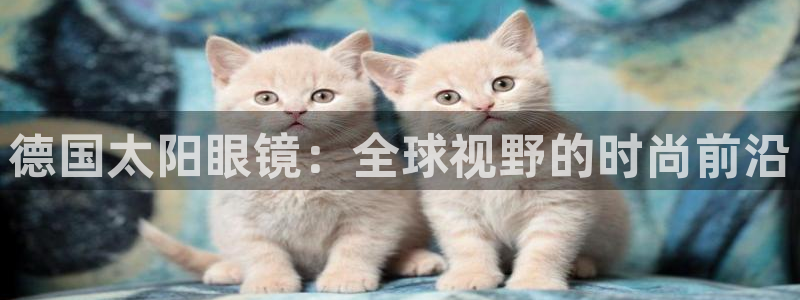 新宝5测试