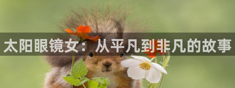 新宝5官网霸
