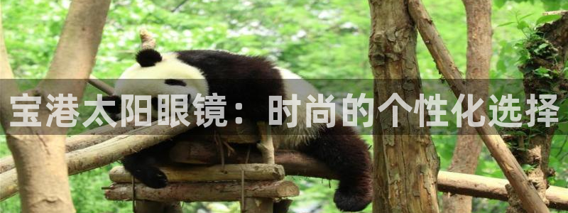 新宝股东张听2 5 5