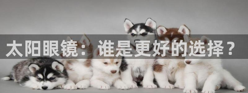 新宝5彩票娱乐平台