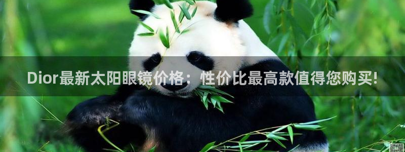 新宝股东王听2 5 5