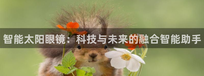 新宝股东王听2 5 5