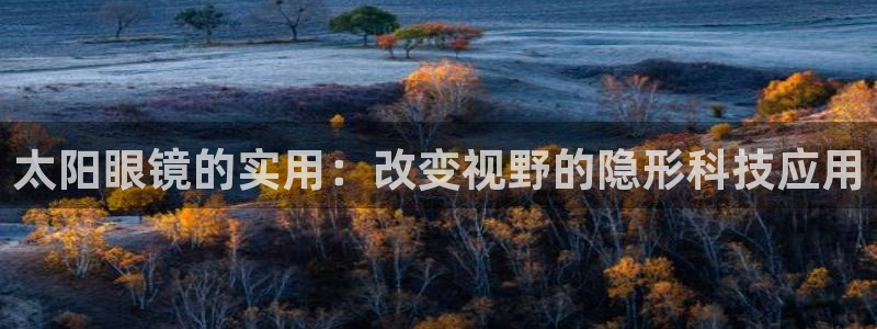 新宝5app手机下载