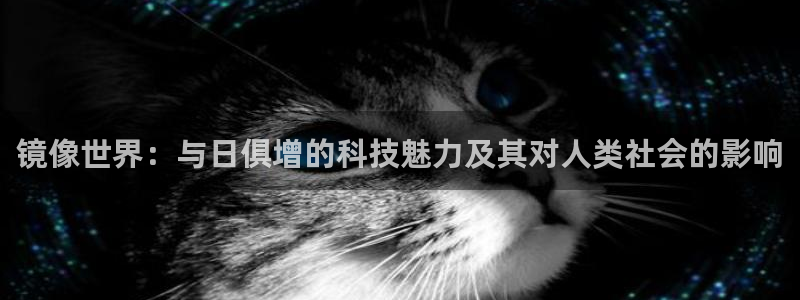 有人知道新宝5么