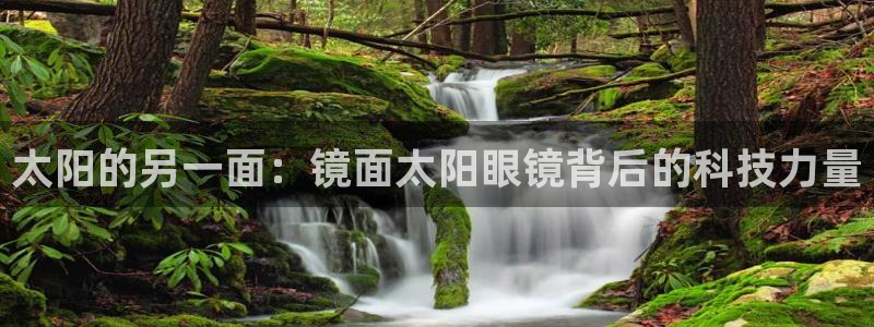 有人知道新宝5么